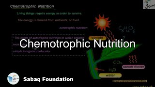 Chemotrophic Nutrition
