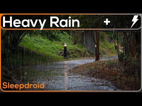 ► Rain and Distant Thunder Sounds for Sleeping (Walking Path)