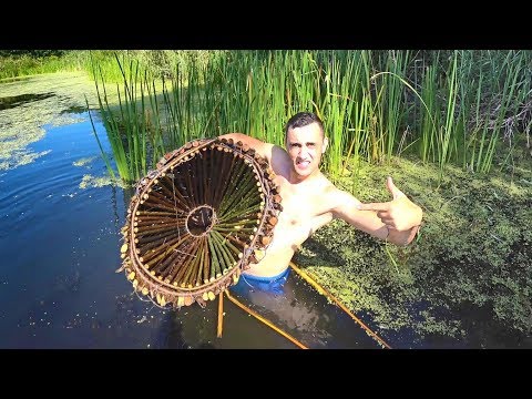 ЛОВУШКА НА КАРПА ВЕРША МОРДА ИЗ ОРЕШНИКА СУПЕР УЛОВ