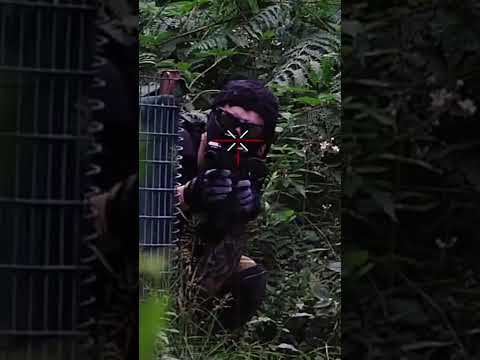 This is why airsoft players should wear face protection (OUCH)