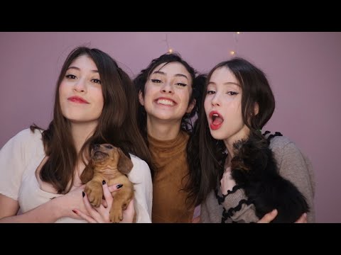 RINHA DE LOLI - Lolis respondem #2