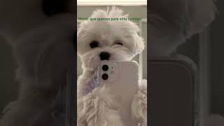 lo que realmente quiero en navidad 🎄 xd