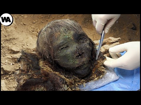 La Prueba De Que Cleopatra Nunca Fue Bella. El Artefacto De Cleopatra Que Podría Cambiar La Historia
