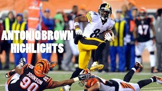 ANTONIO BROWN | Highlights | Pittsburgh Steelers