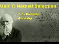Genetic and Chromosomal Differences in Cells