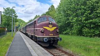 NOHAB MY 1138 & V100 003 im Erzgebirge auf Sachsentour am 16.05.2026