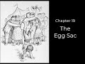 Charlotte's Web: Key Events and Themes