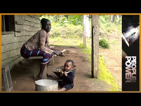 YouTube video thumbnail: Cameroon: From Africa’s Palms