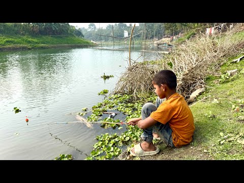 Unique Fishing Technique || Amazing Boy Catching Fish By Bamboo Tools Hook In The Village River