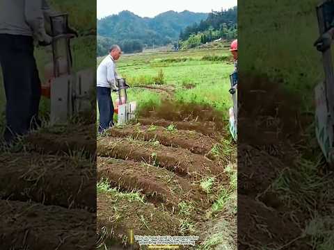 How this machine cuts beds in seconds