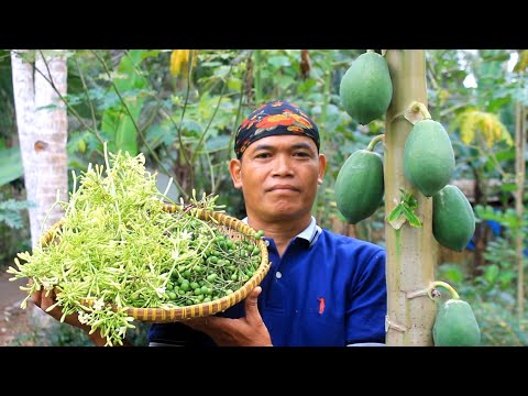 Bunga pepaya dan takokak masak gulai pedas dan gembus goreng