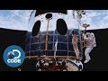 Hubble Space Telescope Insights