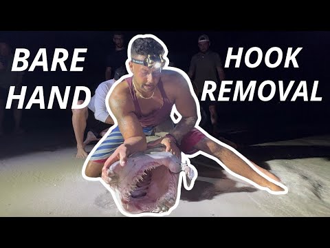 BARE HANDS hook removal ON SHARK!!! | LISHARKMAN