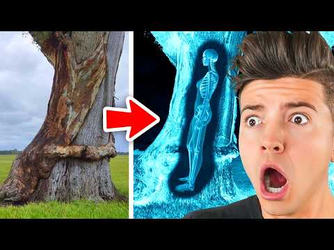 CRAZIEST Discoveries Ever Made!