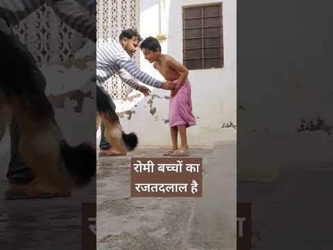 #shorts #dog #germanshepherd #biggboss #viralvideo #doglover #vlog #video #reels #dogs #trending