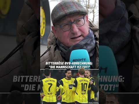 BVB-Fan hat die Nase voll! #shorts #bundesliga #sport1 #fussball #bvb #bvb09 #fußball #spotlight