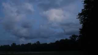 Evening Fireflies
