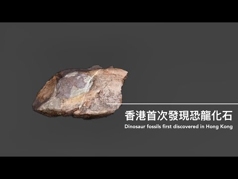 Dinosaur fossils first discovered in Hong Kong, October 2024