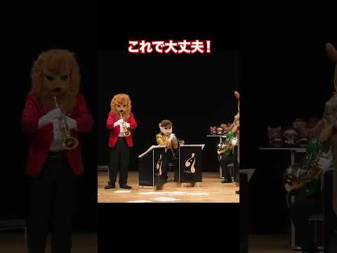 楽譜がなくててんやわんやのインドライオン#フニクリフニクラ #通称パニクリフニクラ #ズーラシアンブラス #ズーラシアンブラスショー #冗談音楽の祭典