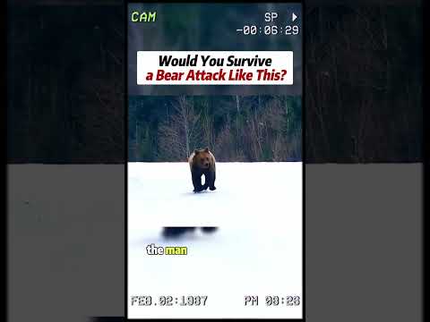 #wildlife #animals #wildanimals #bear #dangerous