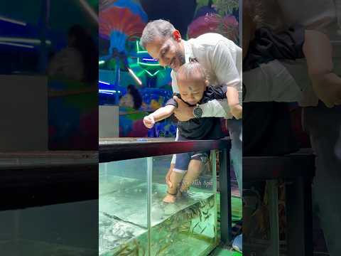 NR Fish Spa🥰 Besant Nagar beach +919952085544 #youtubeshorts #spa #cute #fish #yt #youtube #chennai