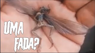 Vídeos Sem EXPLICAÇÃO #15