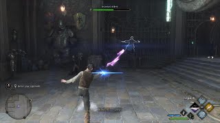 Wooping *$$ in Hogwarts Legacy