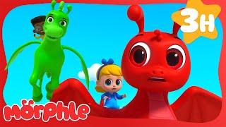 Who’s Faster? Morphle vs. Orphle Tag Battle! 🟢🔴 | 🔴 Morphle VS Orphle 🟢 | Fun Kids Cartoon