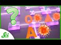 Understanding Omicron and COVID-19