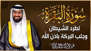 سورة البقرة كاملة - القارئ عبد الولي الاركاني - تلاوة خاشعة  | ABDULWALI ALARKANI surah albaqara