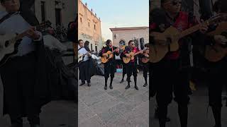 Serenata por el centro de Morelia,bonita callejoneada
