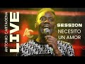 Comprensión de la Canción: Necesito un Amor