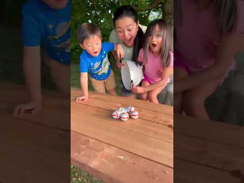 Kinder egg surprise for Ember and Keegan 😱🤣🥚🐣
