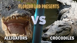 Florida's Apex Predators : Alligator vs. Crocodile 🐊