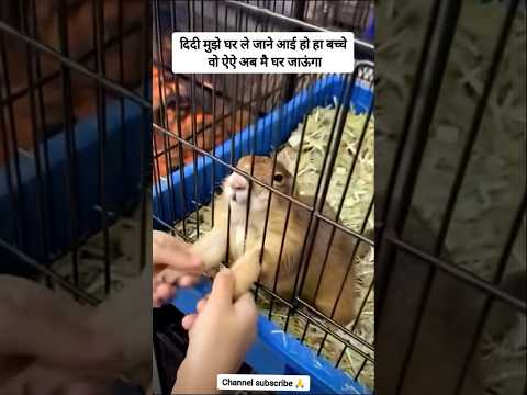 दिदी मुझे घर ले जाने आई हो हा बच्चे वो ऐऐ अब मै घर जाऊंगा