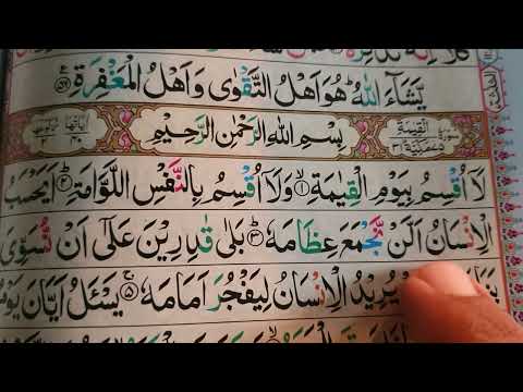 Surah Al Qiamah 1-4 | Learn Quran With Tajweed For Beginners