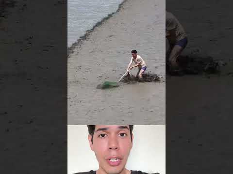 Estos pescadores vivieron un fallo en la Matrix porque no se sabe para dónde van