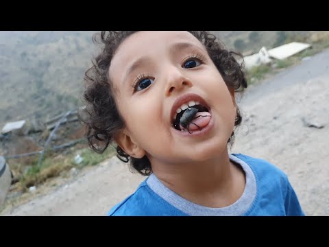 🔥سامر سواها وأكل الحشرة حية🔥