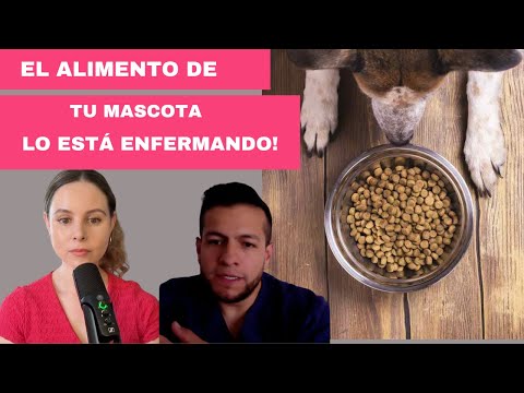 Alimentación natural en perros y gatos