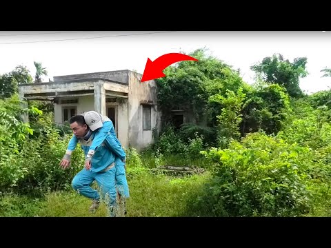 Brave Cleaning Team Caught a Giant 10m long & Weighing 100 Pound Python in the Bushes| Clean Up