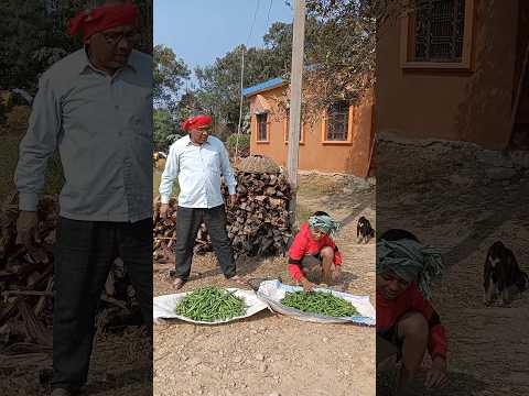 अब हंसी रोक कर दिखाओ #comedyvideo #funnyvideo #vishwakarmaji #comedy #manimeraj