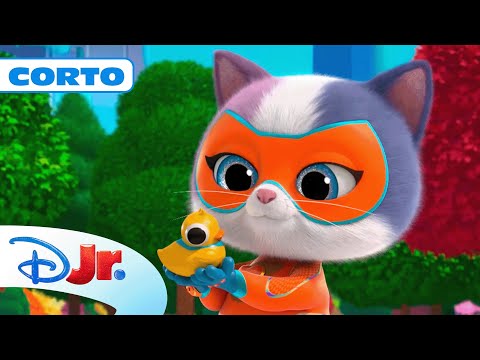 SUPERKITTIES SUPERAVENTURAS: Buddy el cuidador | @DisneyJuniorES