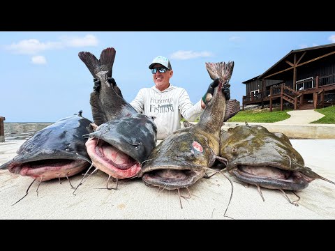 Hand Catching Giant Catfish in Dangerous Under Water Caves (6 Day Road Trip, Florida to Alabama)