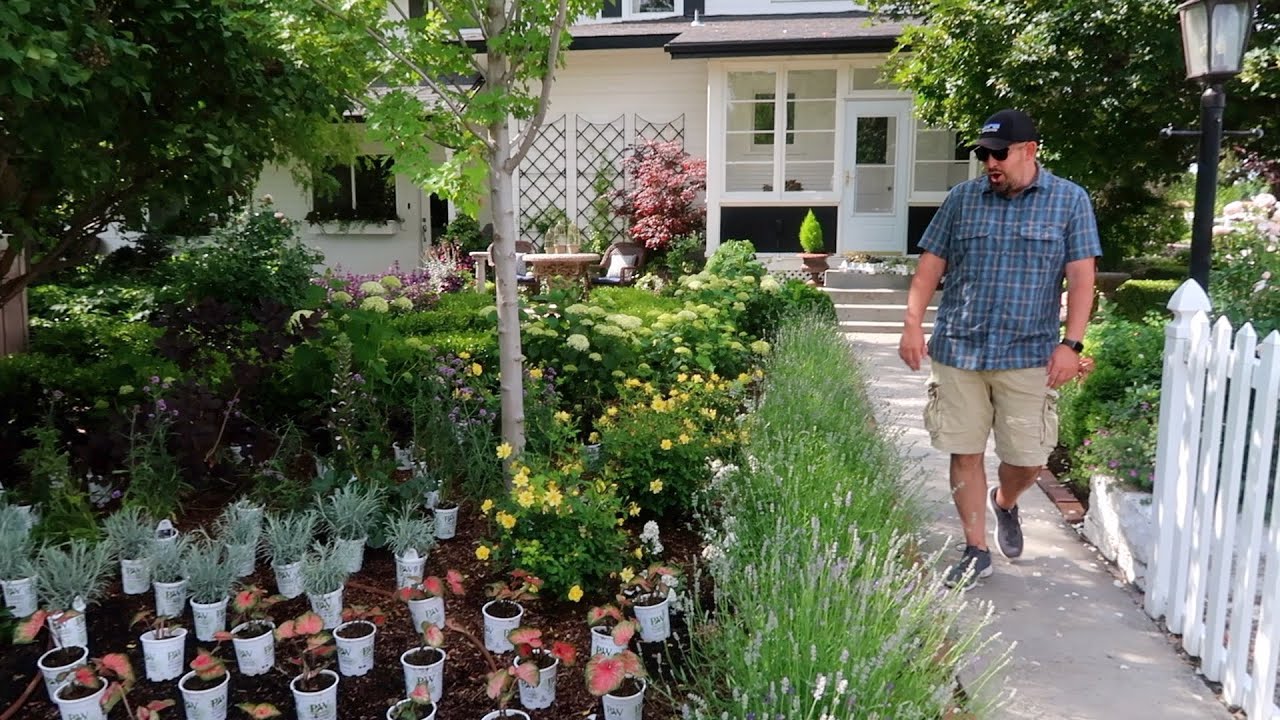 Even Aaron was Surprised by the Amount of Plants!