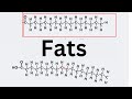 Understanding Fats: Good, Bad, and Ugly