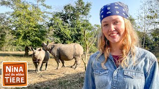 Ein kleines Panzernashorn wird groß | Reportage für Kinder | Nina und die wilden Tiere