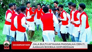 Dookimantarii Jala bultii Ayyaana Masqalaa OBN fi Aanaan Booraa Qopheessan