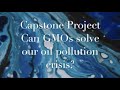 PCR Reactions and Genetic Engineering