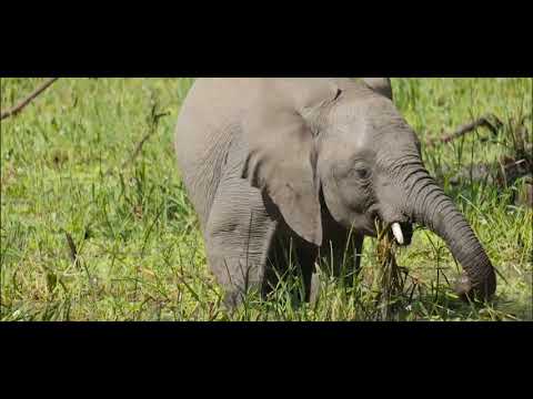 Malawi Activities