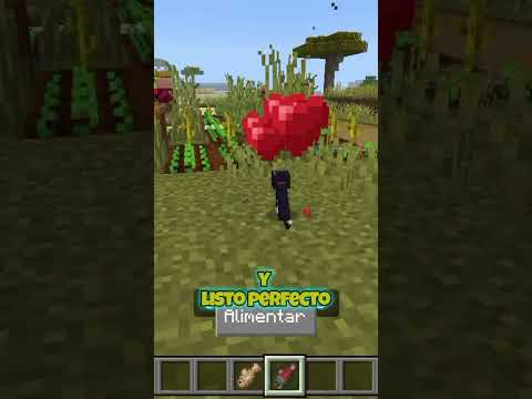 Probando Trucos de Tiktok para Minecraft BE ♥️🐾 | #trucos #minecraft #maxi #tiktok #viral #youtube